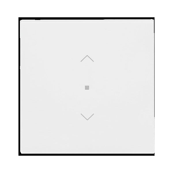 Busch-Jaeger Wippe 1-fach mit Symbol Jalousie 6232-10-44G